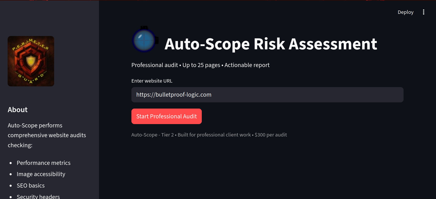 Sample accessibility audit report screenshot